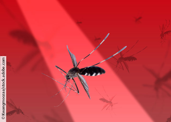 Spotlight_Malaria_Glenmark_656x470 4zevar/stock.adobe.com