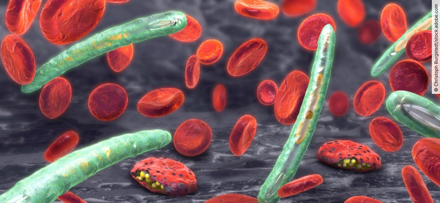 Aufgezogene Spritze, Tabletten und Stethoskop