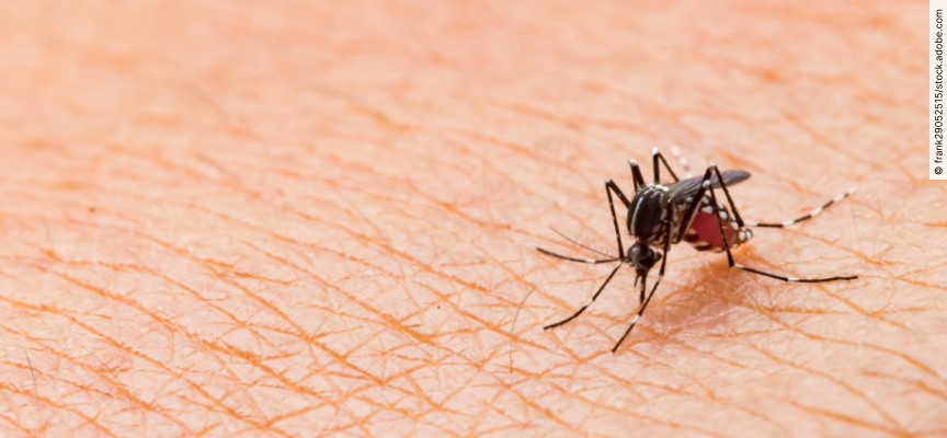 Aufgezogene Spritze, Tabletten und Stethoskop