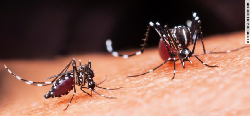 Aufgezogene Spritze, Tabletten und Stethoskop